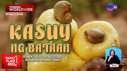 Iba't ibang produktong gawa sa kasoy, alamin! | Dapat Alam Mo!