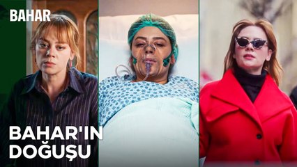 İlk Cemre Düştü, Sonra Bahar Geldi - Bahar