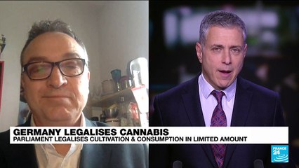 German parliament votes to legalise cannabis possession