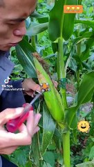 funny moments #Hahaha