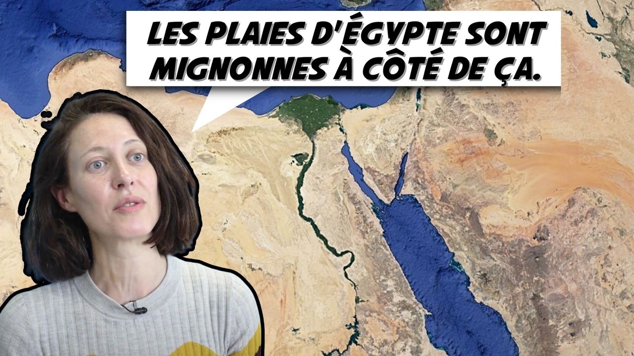 Les 7 grandes plaies environnementales - H.Grosbois