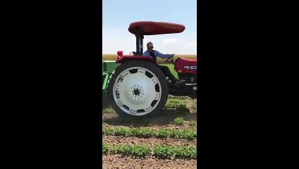 Adana Ceyhan 2. Ürün Fıstık Çapa Çekimi