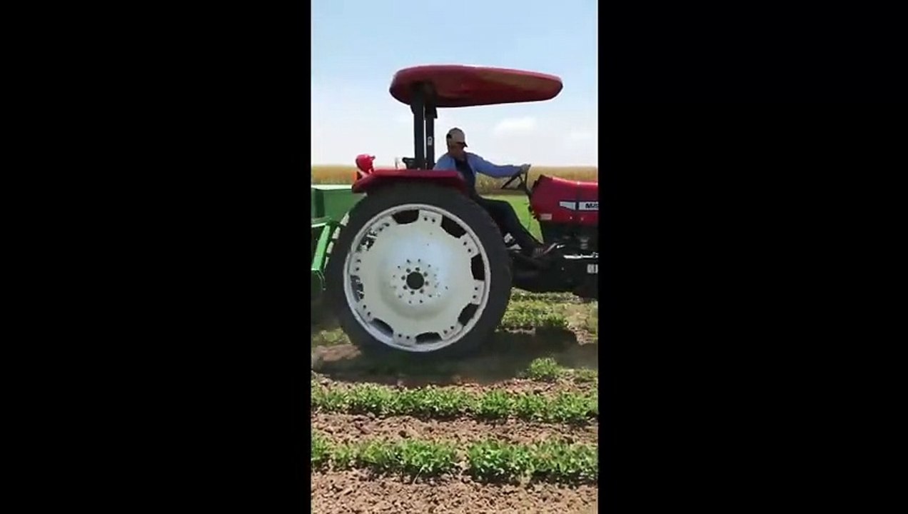 Adana Ceyhan 2. Ürün Fıstık Çapa Çekimi