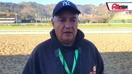 Hipismo: Wladimir Sánchez, Entrenador.