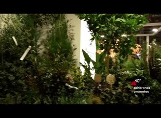 Myplant & Garden, conclusa l’ottava edizione del Salone internazionale del Verde