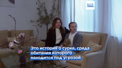 10-летняя украинская беженка пишет вдохновляющую детскую книгу 🇺🇦