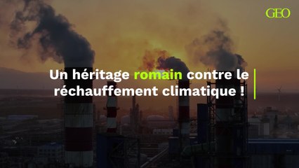 Des haies tressées contre le réchauffement climatique : ce que les Romains nous apprennent