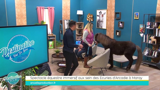 Destination Val de Loire - 23/02/2024 - Spectacle équestre immersif aux sein des Ecuries d'Arcadie à Maray