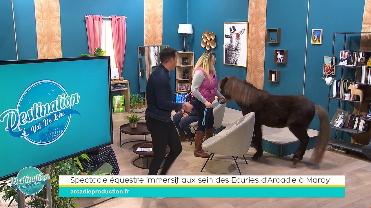 Destination Val de Loire - 23/02/2024 - Spectacle équestre immersif aux sein des Ecuries d'Arcadie à Maray