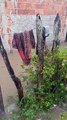 VÍDEO: Fortes chuvas deixam rua completamente alagada em cidade na Bahia; veja