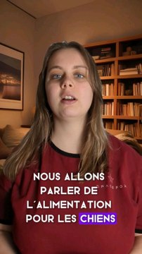les aliments interdits pour les chiens