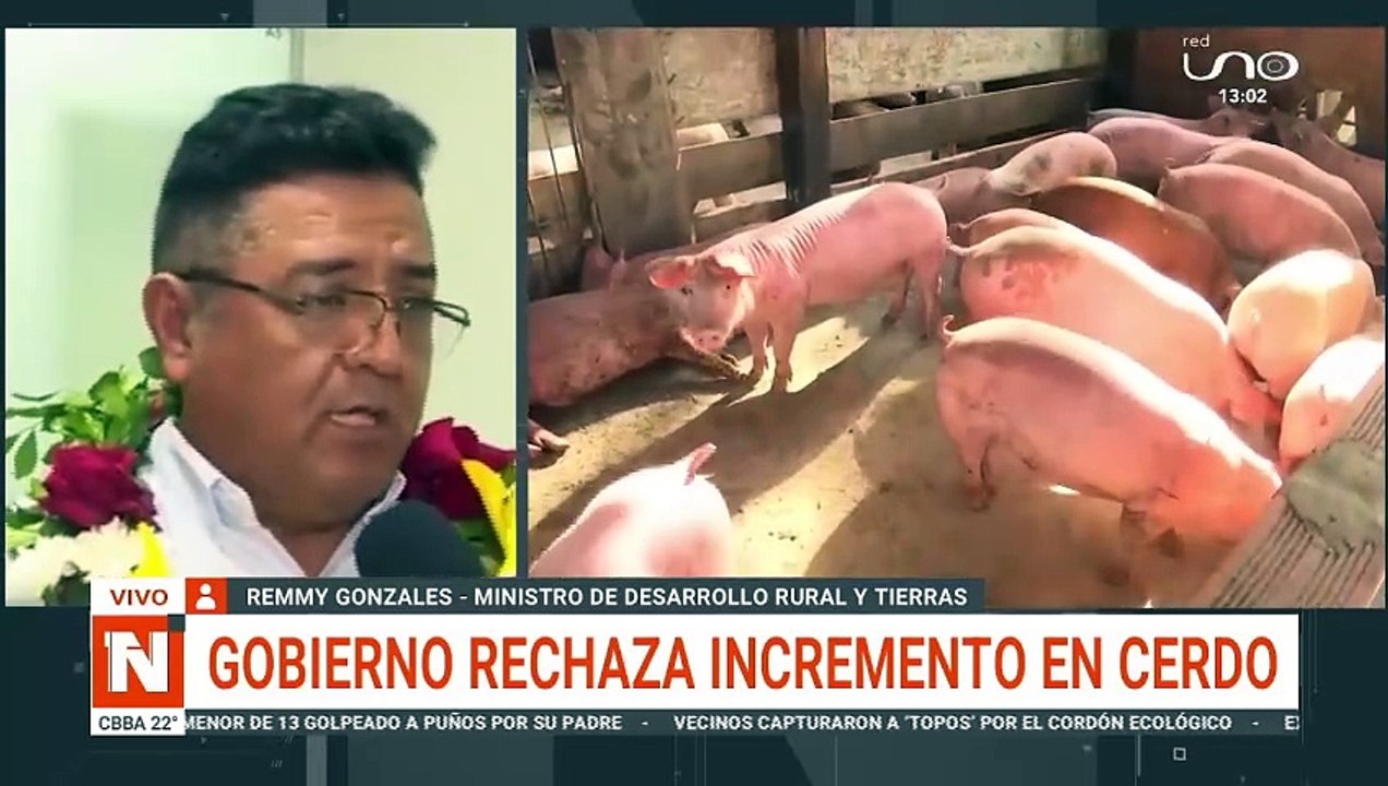 Gobierno rechaza incremento de cerdo