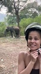 Elephant Reminds Woman Of Its Strength