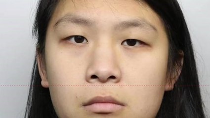 Murderer Tried to Learn Human Dissection After Killing Cat in Blender 🩸