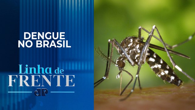 São Paulo distribui 400 mil testes às unidades de saúde | LINHA DE FRENTE