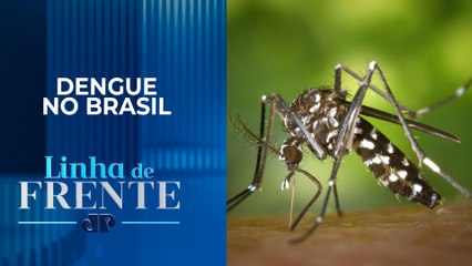 São Paulo distribui 400 mil testes às unidades de saúde | LINHA DE FRENTE