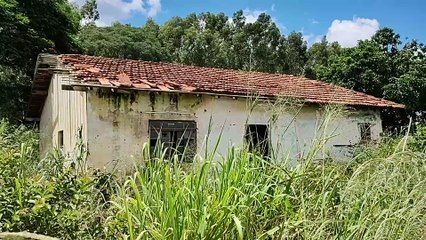 A ASSUSTADORA CASA ABANDONADA NA CURVA DA ESTRADA, ouvi barulhos lá fora, como se tivesse alguém