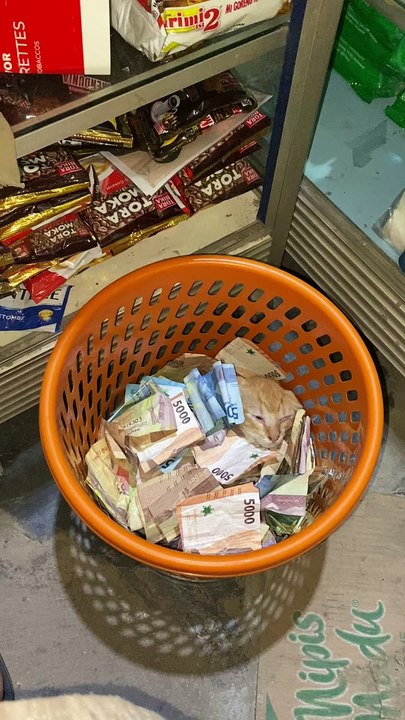 Câlins de chat dans un panier rempli d'argent