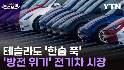 [뉴스모아] 테슬라도 '한숨 푹'…'방전 위기' 전기차 시장 전망은? / YTN