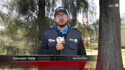 Colectivo de Tlaltenango llama a las autoridades a frenar los abusos sexuales en contra de mascotas