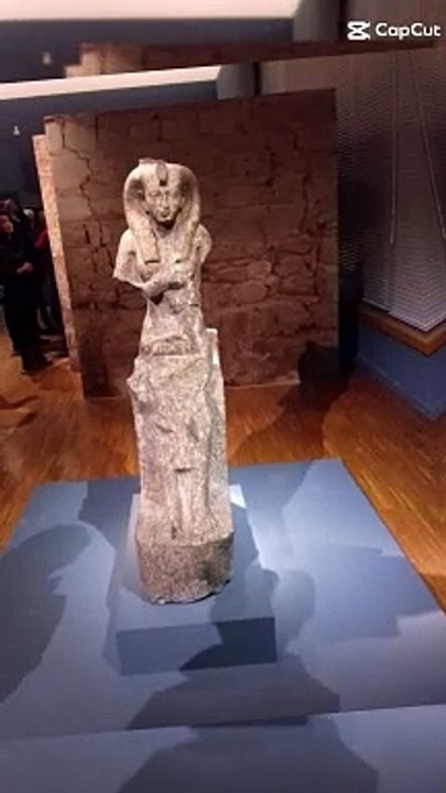 Le Musée de Grenoble est un musée municipal des beaux-arts et des antiquités de Grenoble #france  (25)