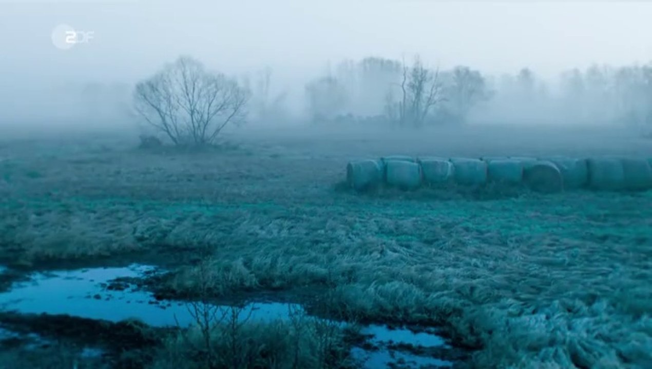 Spreewaldkrimi -13- Totentanz