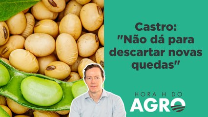 Preço da soja chegou ao fundo do poço? | HORA H DO AGRO