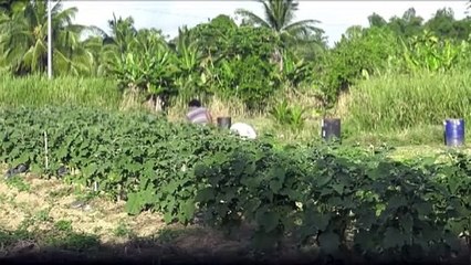 ST. JAMES POLICE YOUTH CLUB NEEDS FUNDING