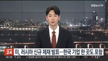 미, 러시아 신규 제재 발표…한국 기업 한 곳 포함