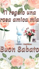 BUONGIORNO E BUON SABATO -GOOD MORNING,GOOD SATURDAY ☕