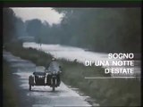 FILM Sogno di una notte d'estate (1983)