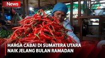 Harga Cabai di Mandailing Natal Naik Jelang Bulan Ramadan