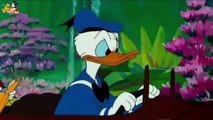 ᴴᴰ Pato Donald y Chip y Dale dibujos animados - Pluto, Mickey Mouse Episodios Completos Nuevo 2018 (4)