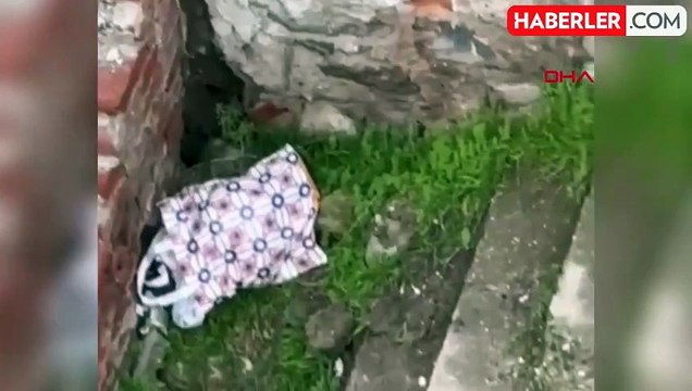 Diyarbakır'da metruk yapıdan bebek sesi duyanlar, yeni doğmuş bebeği bulup polise teslim etti