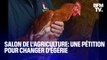 Poule, cochon, mouton...une pétition appelle à détrôner la vache de sa place d'égérie du Salon de l'agriculture