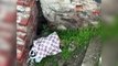 Diyarbakır'da harabe evde terk edilmiş bebek bulundu