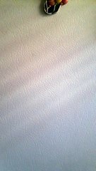 BlackRock Showing Signs That SoSkhoo Is More Elite/Powerful Than Them