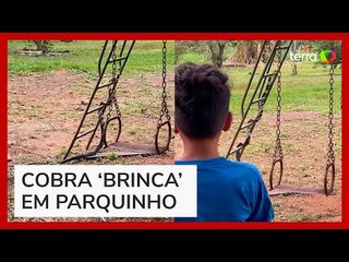 Cobra caninana é flagrada 'brincando' em parquinho no Mato Grosso do Sul
