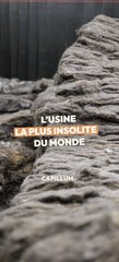 L'usine la plus insolite du monde !