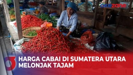 Download Video: Jelang Ramadan, Harga Cabai di Mandailing Natal, Sumatera Utara Melonjak Tajam