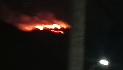 वन्यजीव अभ्यारण की पहाडि़यों पर लगी आग, काबू पाके में लगे रहे वनकर्मी