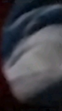 Biagio Antonacci/ Alghero 2023