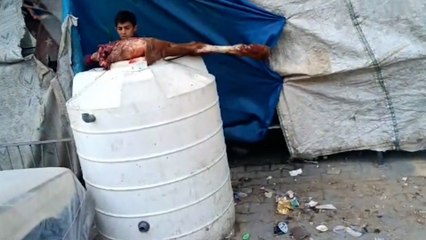 ذبح حصان أصيب في قصف إسرائيلي وتوزيع لحمه على النازحين في غزة