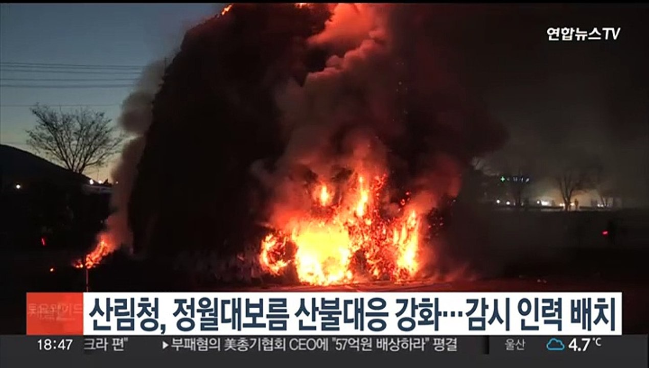 산림청, 정월대보름 산불대응 강화…감시 인력 배치