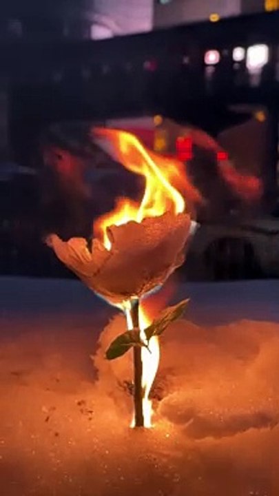 Fire Flower