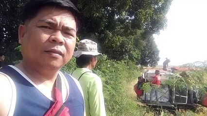 THE BEAUTY OF THE PLACE