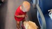 Toddler playing with Dog delights everyone on train with her giggles *Wholesome*