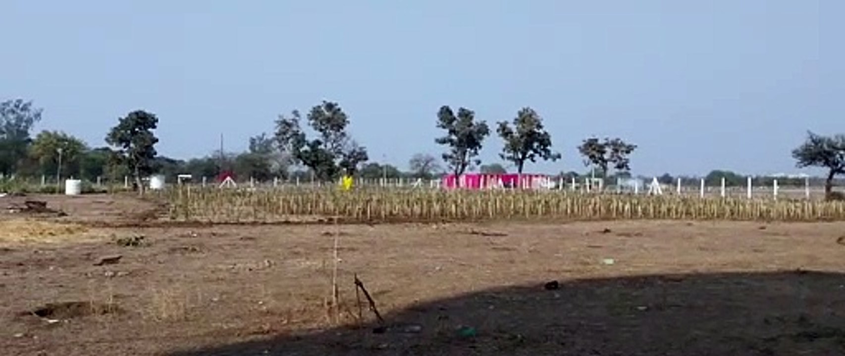 बीएचईएल क्षेत्र में मियाबाकी पद्धति से लगाए जा...