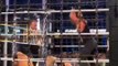 AJ styles attack LA knight during the Men's 2024 WWE Elimination Chamber match