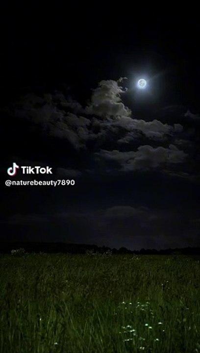 #4 night